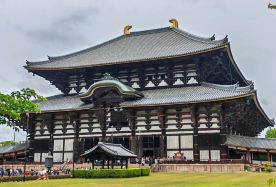6D5N · Private Tours · Year Round Classic Kansai Tour: Temple Train Aquarium Experience + Kyoto Osaka City Hotel Stay + Fushimi Inari Dotonbori Landmarks + Arashiyama Bamboo Highlight Title 2 Family Focus · A family-friendly Kansai adventure blending Kyoto culture, scenic train rides, aquarium fun, bamboo forests and Osaka city highlights.