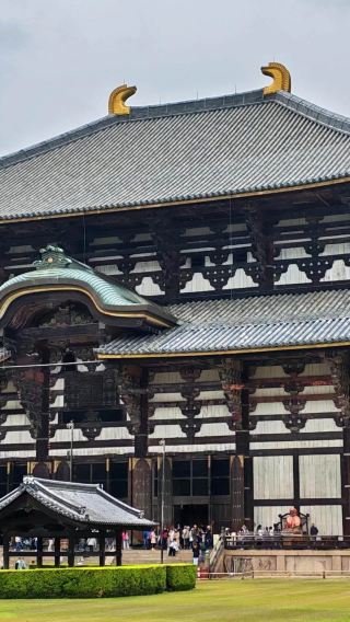 6D5N • Year Round Classic Kansai Tour: Temple Train Aquarium Experience + Kyoto Osaka City Hotel Stay + Fushimi Inari Dotonbori Landmarks + Arashiyama Bamboo Highlight Title 2 Family Focus