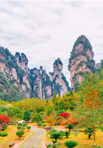 5D4N • Zhangjiajie National Forest Park Avatar Mountain, Grand Canyon Glass Bridge, Tianmen Mountain 999 steps, Tianmen Cave, Furong Town, Fenghuang Ancient Town