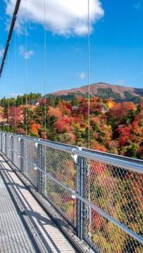 6日5晚 • 九州の秋 6天賞楓溫泉之旅   賞紅葉名所( 九重夢吊橋、夢幻湖泊~金鱗湖、「米芝蓮景點推介」太宰府～天滿宮、糸島+「賞紅葉名所」雷山千如寺)、御船山樂園紅葉祭/ 武雄温泉樓門
