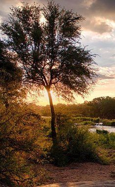 6D5N • 6 Day Budget Kruger National Park Safari