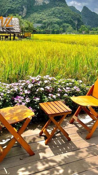 5박6일 • 광시 산수 여행: 구이린 리장 대강 4성급 유람선+100년 된 푸리치아오+위룽허 대나무 뗏목 | 충쭤 더톈 국제 폭포+통링대협곡 · 광시 북부와 남서부 두 노선의 절경을 한눈에 감상