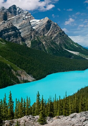 2D1N • Banff + Columbia Icefield + Calgary