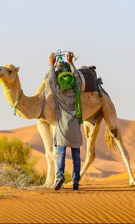 2D1N • Desert Tour Ouarzazate CHEGAGA 2 Days/ 1 night