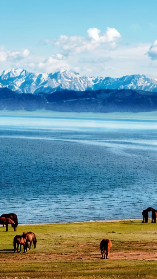 10D9N • Winter tour of Northern Xinjiang—snow party at sunset & Hemu bonfire—stay in Hemu wooden cabins & near Sayram Lake Scenic Area—Turpan Fire Land: optional skiing—no shopping, tips included