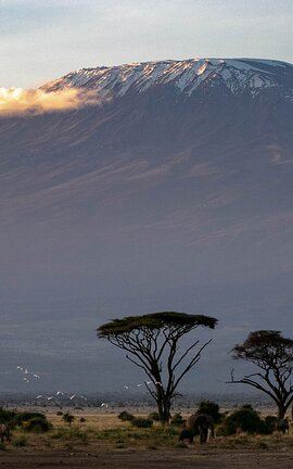 3D2N • 3-Day Amboseli Safari from Nairobi