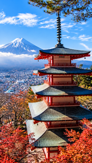 2D1N • Tokyo + Izu City + Hakone + Mount Fuji