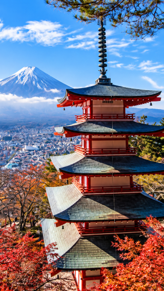 2D1N • Tokyo + Izu City + Hakone + Mount Fuji