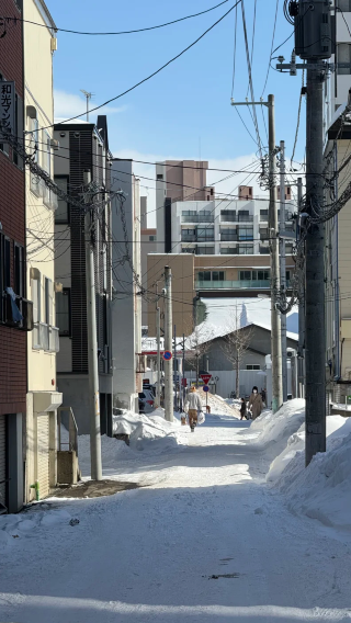 2D1N • Japan + Hokkaido+ Sapporo + Zaozhuang + Toyohira Lake + Tonden Hell Valley