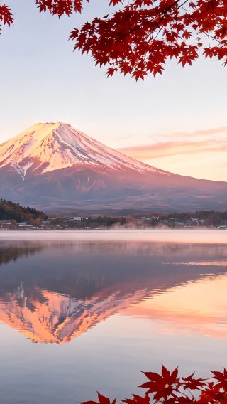 7天6晚 • 日本小資東京旅遊｜東京迪士尼.河口湖.忍野八海.明治神宮.敘敘苑燒肉.溫泉購物