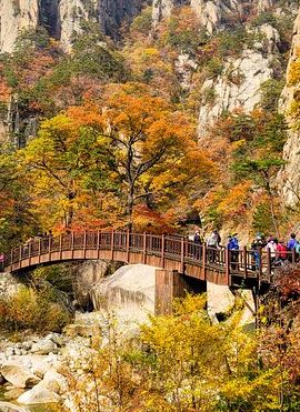 12D11N • 12-Day South Korea Group Tour in Spanish