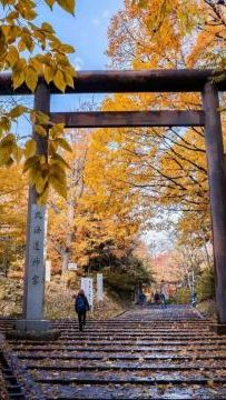 6日5晚 • 北海道道央｜廣東話領隊｜2晚溫泉酒店｜香港航空貴賓室｜北海道神宮、登別Marine Park海洋城堡、支笏湖美景、北國優駿公園