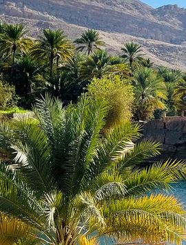 2D1N • Private Oman Desert Overnight in Wahiba Sand and Wadi Exploration