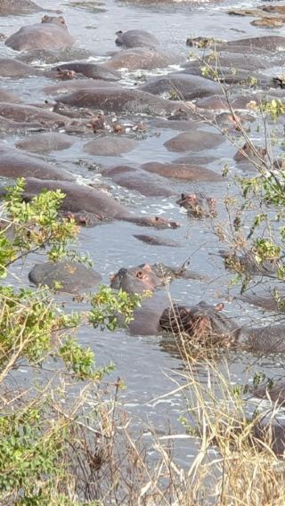 3D2N • 3-Day Tanzania Last-Minute Safari with Accommodation