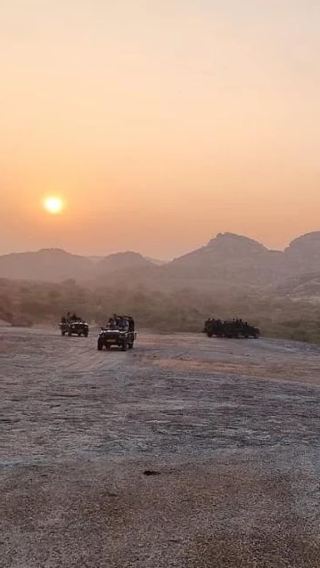 2D1N • Udaipur: 2-Day Jawai Leopard Safari with Ranakpur Temple