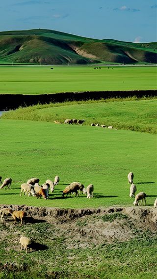 5D4N • Upgrade to Aerial Vlog on Inquiry  Hulunbuir + Ergun + Manzhouli-Inquire for special offers 
