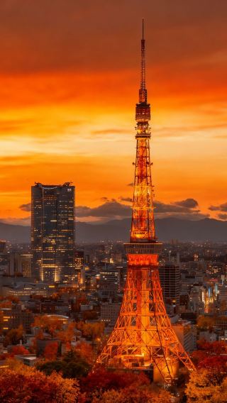 4天3晚 • 日本東京+日光市