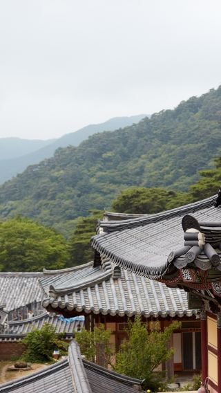 13D12N • Dreamed Japan with Kyushu Island and Express Korea