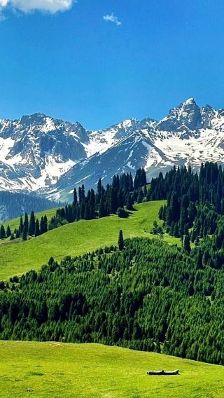 8D7N • 8-day essence tour of Ili departing from Urumqi, covering Sayram Lake,  Kuerdening and  Narat, capturing all the charm of Ili on one trip.