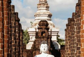 6D5N · Group Tours · Bangkok + Phra Nakhon Si Ayutthaya · Discover three lesser-known photo spots: Bang Pa-in Royal Palace, Ayutthaya Retro Weekend Night Market, and Ayutthaya aesthetic cafes. Visit two classic must-see sites: Wat Mahathat (Buddha's Head in the Tree Roots) and Wat Yai Chai Mongkhon.