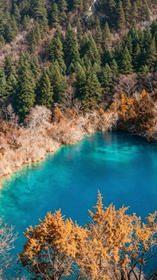 9D8N • Adjustable itinerary - guaranteed Jiuzhaigou entry - classic Sichuan alpine combo: Jiuzhaigou, Huanglong, Siguniang, Bipenggou & Dagu Glacier - 5-diamond hotel stay in Chengdu & Jiuzhaigou