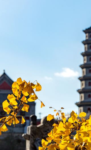 3D2N • Beijing classic tour & Simatai Great Wall Beijing W Town