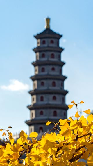 3D2N • Beijing classic tour & Simatai Great Wall Beijing W Town