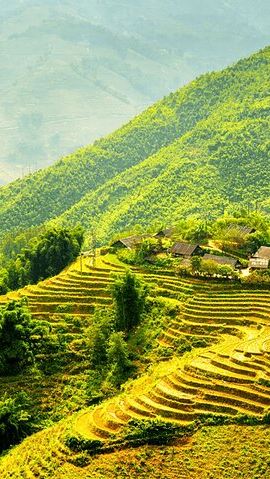 2D1N • Sapa 2 Days 1 Night with Host Family (Free Motorbike)