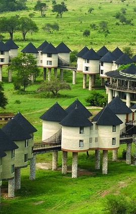 2D1N • Private overnight To Saltlick Safari Lodge From Mombasa Or Diani