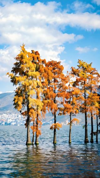8D7N • Yunnan + Kunming + Dali City + Lijiang + Balagezong Scenic Area