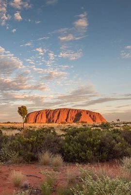 3D2N • Uluru, Kata Tjuta and Kings Canyon Camping Safari from Ayers Rock