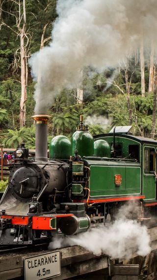 4D3N • Melbourne + Puffing Billy Railway + Phillip Island + Great Ocean Road