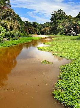 13D12N • 13 days: Jungle and Beach in Costa Rica