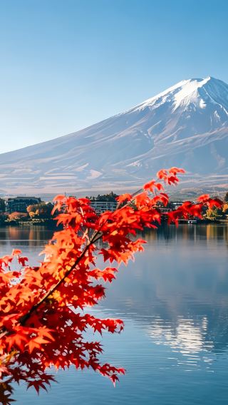 5天4晚 • 日本東京＋富士山「免費客製化行程」日本秋景天花板：紅葉配雪頂富士｜東京市區1日自由活動