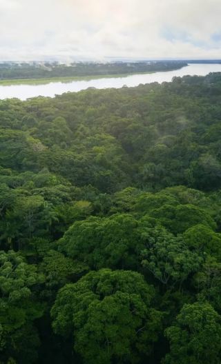3D2N • Iquitos