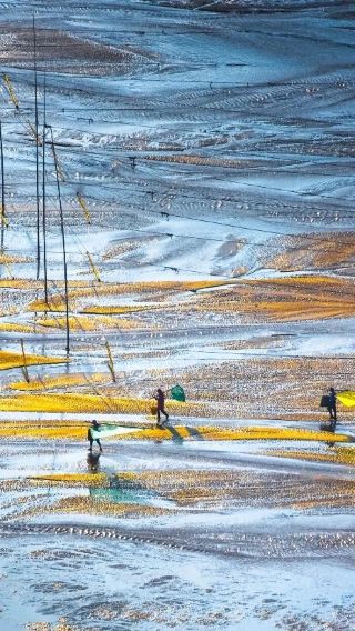 4天3晚 • 「遇見山海·邂逅光影霞浦」暢遊北岐灘塗＋太姥山＋楊家溪＋沙江S灣｜觀賞日出日落·探訪夢幻灘塗