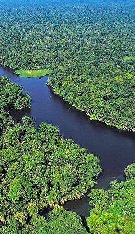 3D2N • 3-Day Tour in Tortuguero National Park with Pick Up