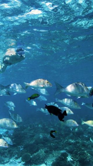 10D9N • 10 Day Perth to Exmouth, Karijini & Return Tour