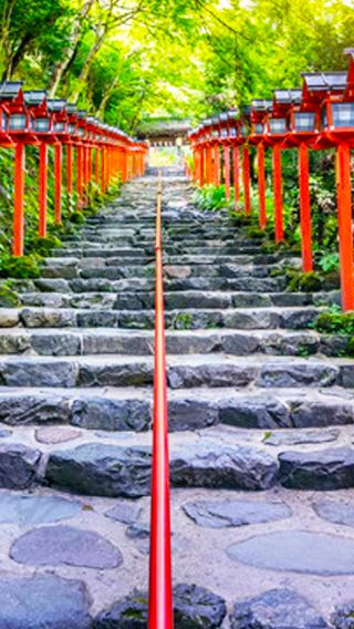 4天3晚 • 日本東京富士山 4 日 3 夜拼小團
