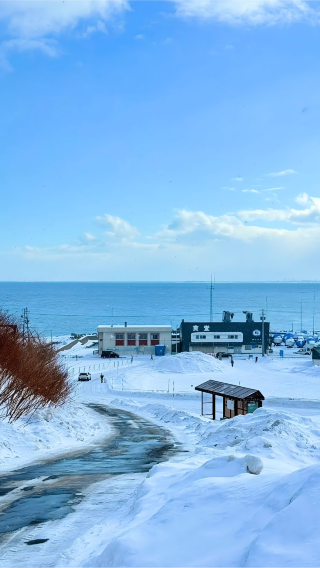 2D1N • Sapporo + Aomori + Furano + Toyako Lake + Tsurigasaki Hell Valley