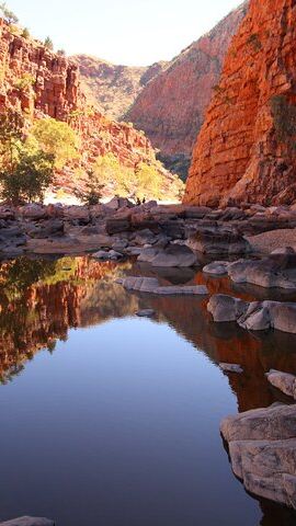 4D3N • 3 night Uluru, Kata Tjuta and Kings Canyon Camping Adventure