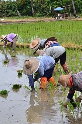 3D2N • Chiangrai Round Trip Classic Tours 3 Days 2 Nights