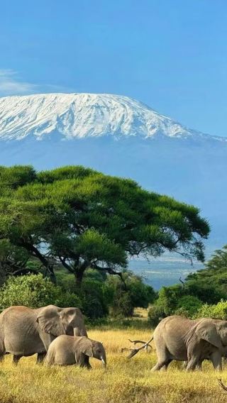 7D6N • Amboseli + Tanzania