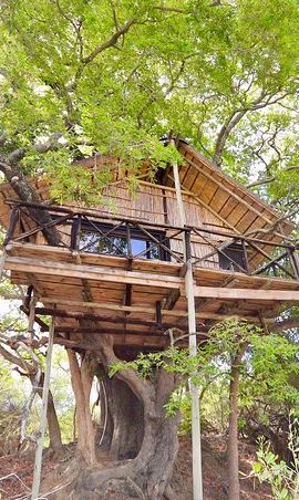 4D3N • 4 Day Lodge and Treehouse Kruger National Park Safari
