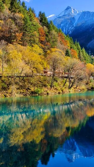 7天6晚 • 聖誕秋冬頂奢旅遊「九寨溝黃龍彩林·四姑娘山·畢棚溝·達古冰川風景區」贈VIP候車·非物質文化遺產川劇蓋碗茶＋可加價升級九寨洲際飯店·可調整行程