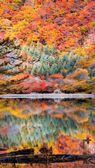 3D2N • Autumn Splendor with Guaranteed Jiuzhaigou Entry & Train Tickets: Pandas & Dujiangyan + Jiuzhaigou & Huanglong by High-Speed Rail