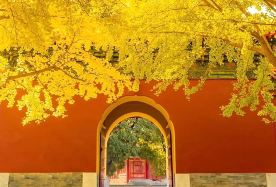 4D3N · Private Tours · Best Deal: Imperial Beijing Explorer  Palaces, Great Wall & Temples · (Group for International Travelers) No shopping stops - just pure fun. Experience a relaxed, activity-focused group with on-site commentary from an English-speaking guide. 