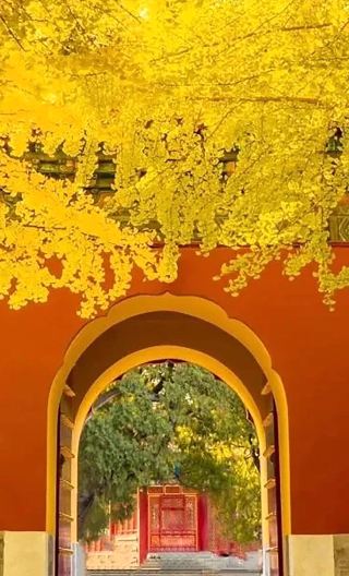 4D3N • Best Deal: Imperial Beijing Explorer  Palaces, Great Wall & Temples