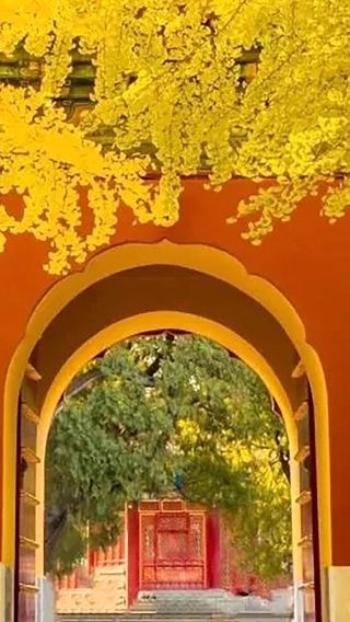 4D3N • Best Deal: Imperial Beijing Explorer  Palaces, Great Wall & Temples