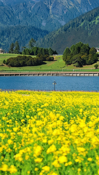6日5晚 • 拉薩＋林芝＋雅魯藏布大峽谷＋南迦巴瓦峯｜全程供氧護航·索松觀景美宿·純粹秘境漫遊